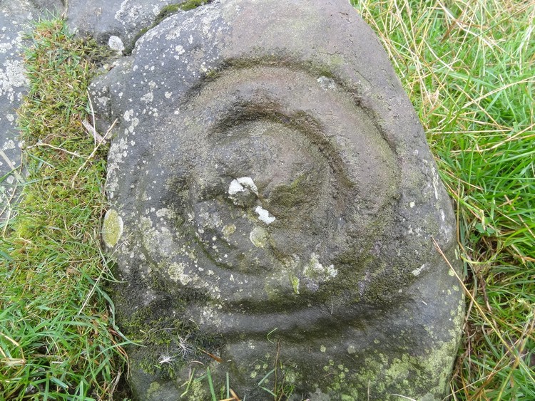 Old Bewick 3a