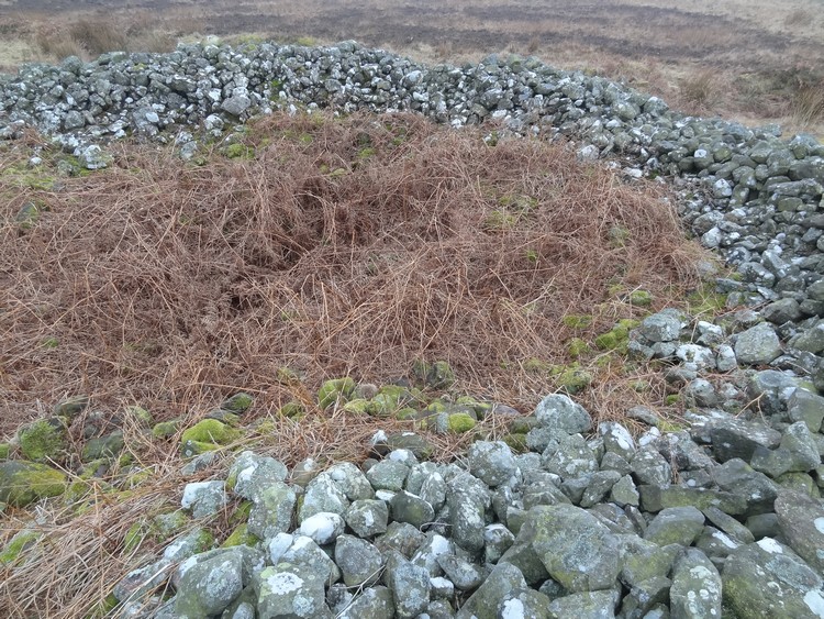 Rayheugh Moor Cairn (b)
