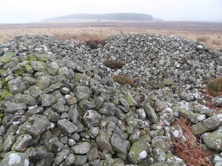 Rayheugh Moor Cairn (c)