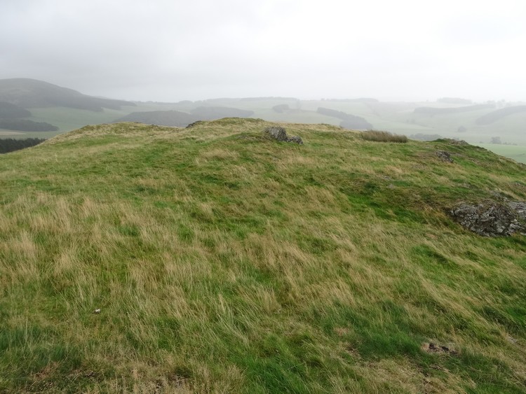 Gallow Law