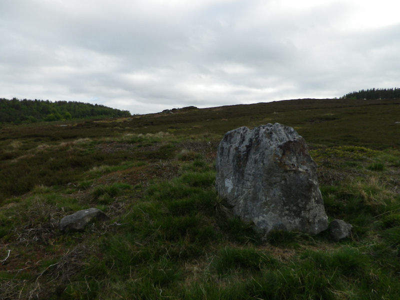 Click for the gallery page to add comments and vote (PID:197347) Debdon Cairnfield Standing Stone (a)