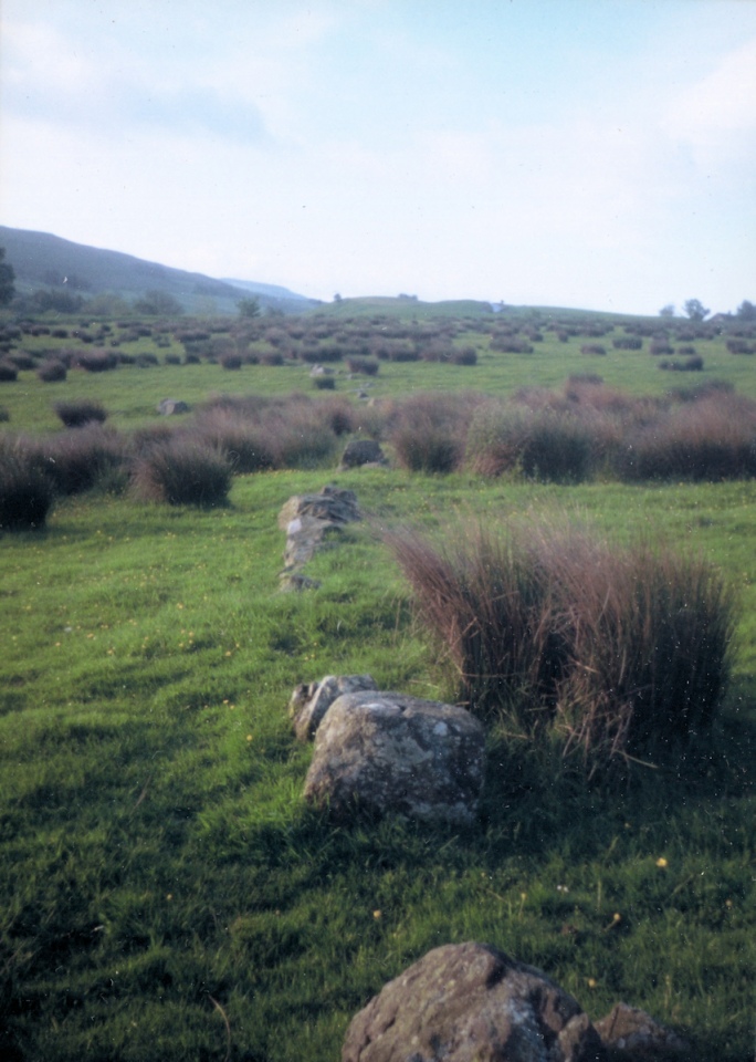 Click for the gallery page to add comments and vote (PID:237203) Slaggyford Stone Rows