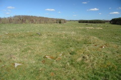 Brecken Hills