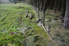 Mounthooly (College Valley)