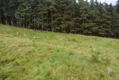 Mounthooly (College Valley)