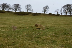 The Fawns (Kirkwhelpington)