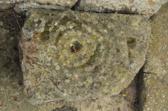 Warrior Stone (Ingoe)