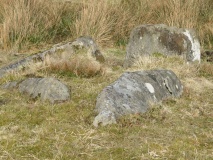 King Wanless Green (cist) 1