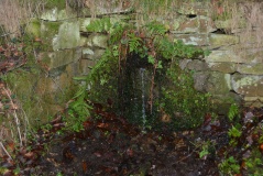 Tommy Stout's Well (Thornley Gate)