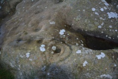 West Lordenshaw Main Rock