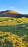 St Gregory's Hill - PID:300181
