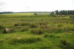 Simonburn