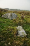 Goatstones H