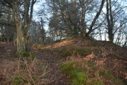 Callaly Castle Hillfort