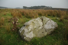Goatstones F.