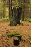 Bygate Hill