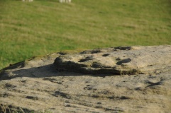 Poind and Man (West)