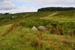 Elsdonburn Shank (Kilham)