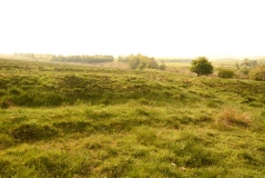 Ewesley Enclosure