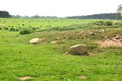 Netherwitton A