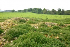 Netherwitton A
