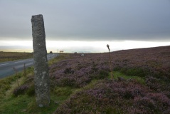 Feldon Plain (Muggleswick)