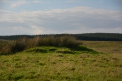Haining House (Lambley)