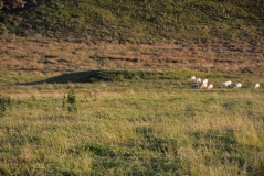 Housesteads Mound