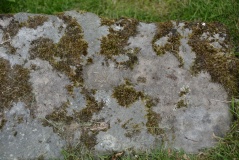 Chesters Roman Site b