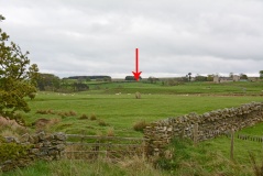 The Hanging Stone (Haydon)