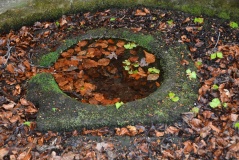 St George's Well (Minsteracres)