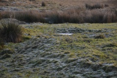 Mill Knock Settlement (Birtley)