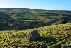 Limestone Brae (West Allen)