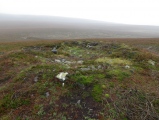 Camp Hill Cairn - PID:113801