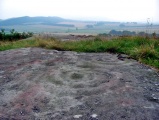 Broomridge 2 - PID:18356