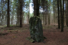 Bygate Hill