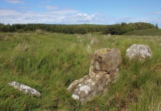 Simonburn