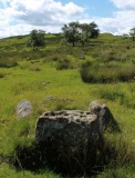 King Wanless Green (cist) 1