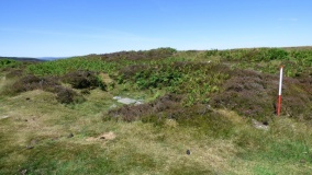 Lordenshaw Hillfort