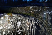 Roughting Linn Rock Art - PID:271573