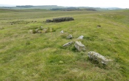 Standingstone Rigg