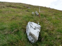Standingstone Rigg