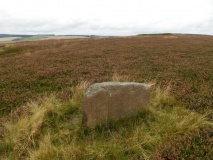 Whinny Hill Stone Circle