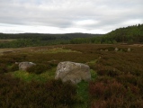 Addeyheugh - PID:113598