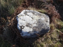 Beanley Moor 2