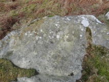 Chirnells Moor N01