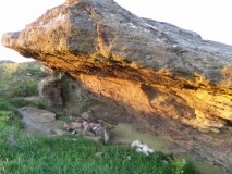 Corby Crags Rock Shelter - PID:108727 Corby Crags Rock Shelter - PID:108727