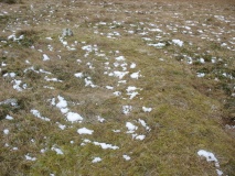 Crow Crags Settlement