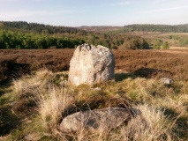 Debdon Cairnfield Standing Stone (a)