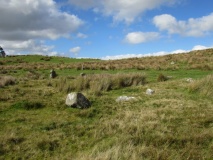 Ridley Common - PID:159357